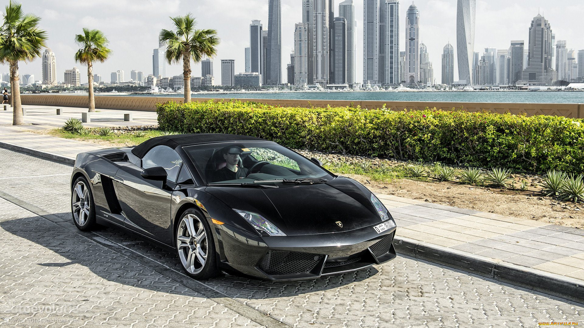 , lamborghini, gallardo